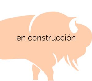 Hotel Austral - en construcción